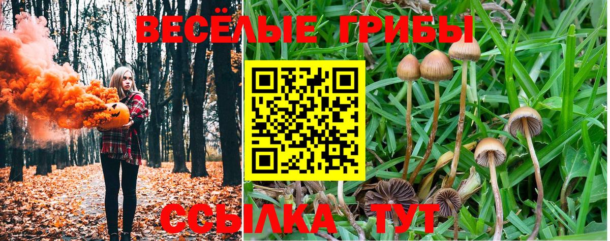 Галлюциногенные грибы MAGIC MUSHROOMS Острогожск